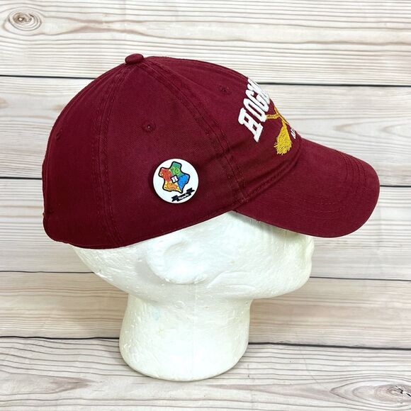 Harry Potter HOGWARTS Alumni Hat Adult Strapback Cap Adjustable Maroon + Pins - Picture 14 of 15